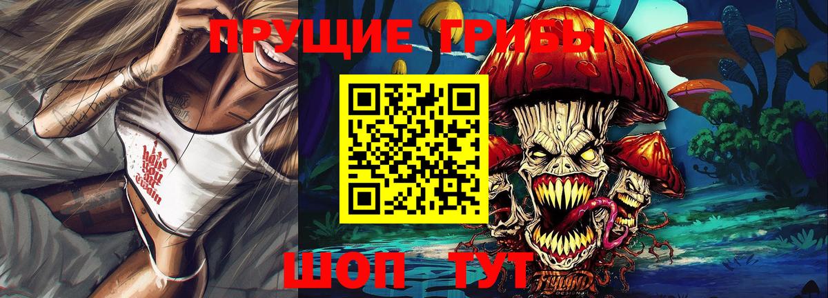 Псилоцибиновые грибы GOLDEN TEACHER  сколько стоит  Славянск-на-Кубани  Галлюциногенные грибы GOLDEN TEACHER  Вход с VPN 