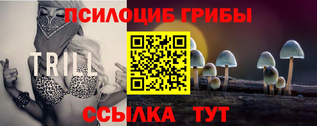 Псилоцибиновые грибы ЛСД Славянск-на-Кубани